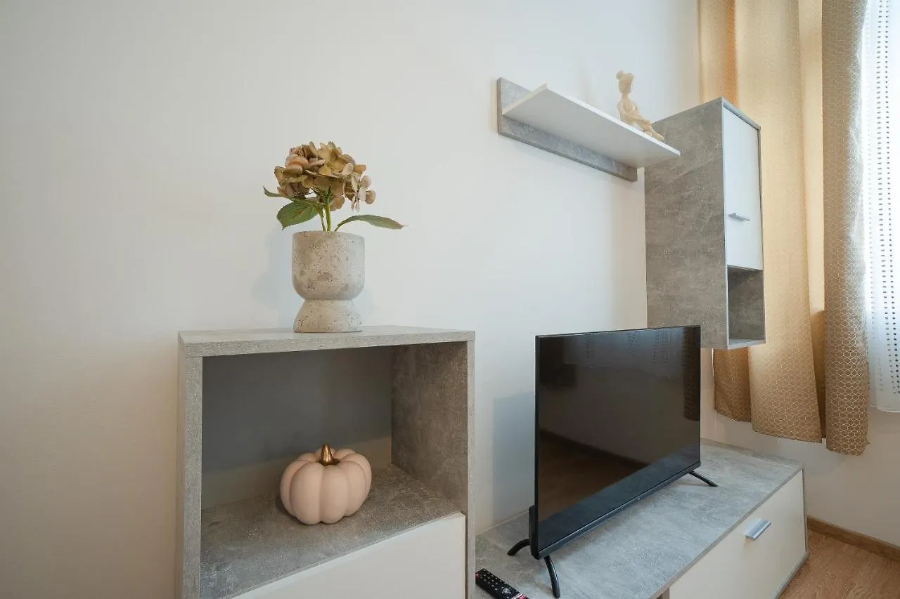 Apartment In The Central Area. 5 Minute'S Walk To The Danube. Vienna Austria